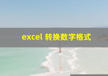 excel 转换数字格式